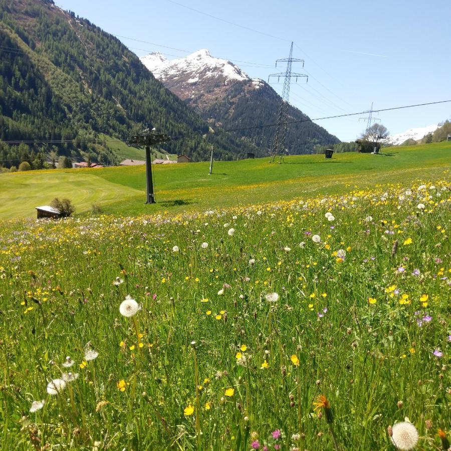 Stier Apartment St. Anton am Arlberg Zewnętrze zdjęcie