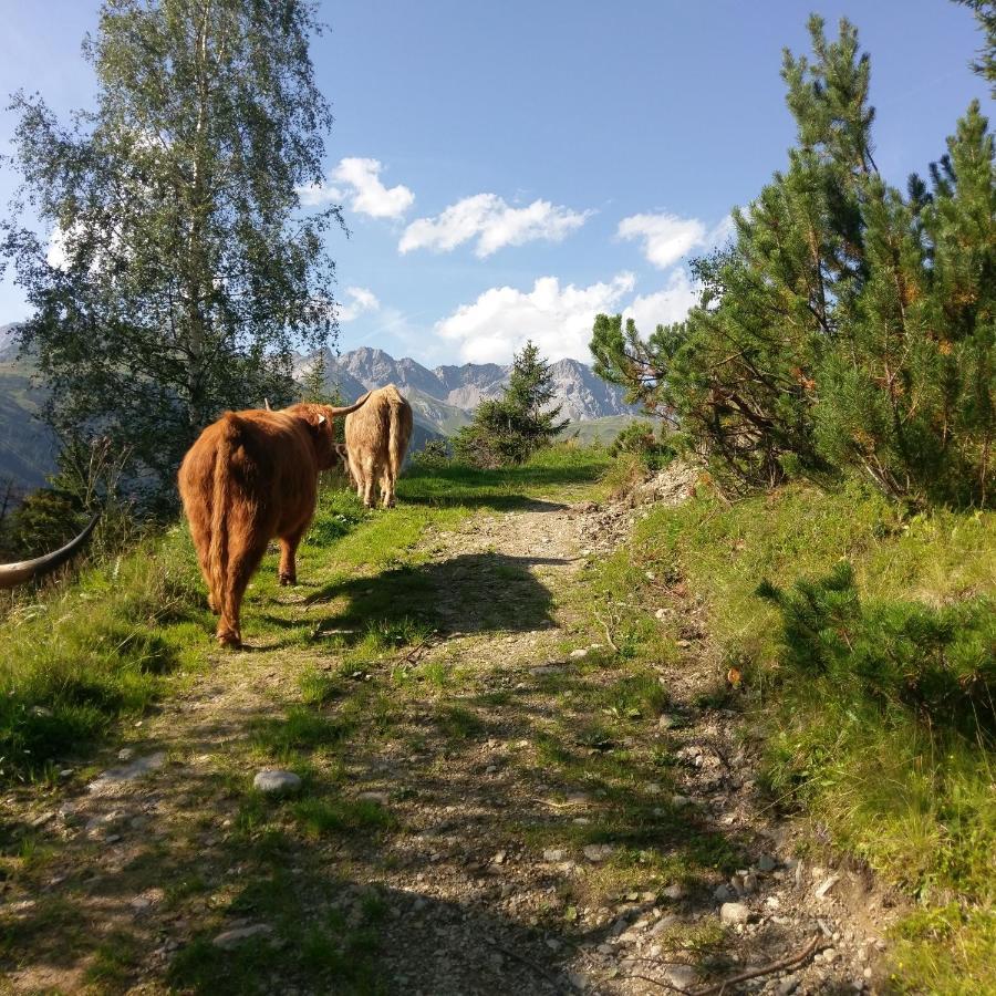 Stier Apartment St. Anton am Arlberg Zewnętrze zdjęcie