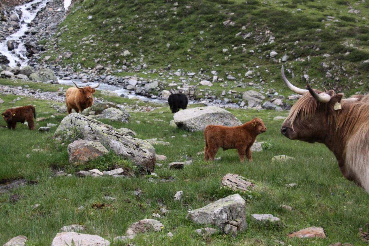 Stier Apartment St. Anton am Arlberg Zewnętrze zdjęcie